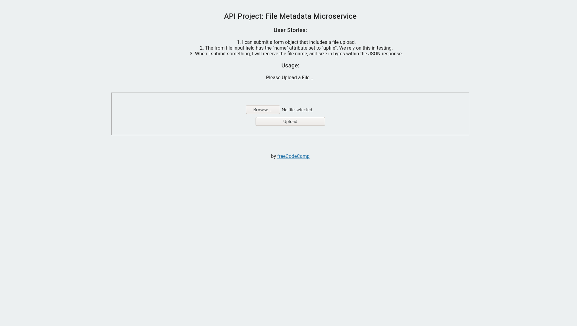 file metadata microservice project screenshot